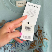 Load image into Gallery viewer, Coach Spring Doodle Dream Embroidered Crew Neck Sweatshirt Powder Blue M NWT