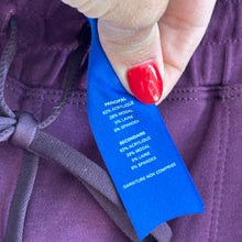 Load image into Gallery viewer, Kit And Ace High Rise Drawcord Waist Jogger Pants Purple XL