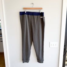 Load image into Gallery viewer, Cotopaxi Lozano Slim Fit Drawcord Waist Casual Jogger Gray XXL NWT