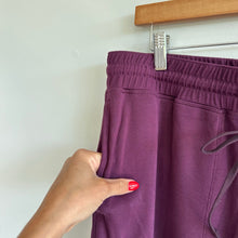 Load image into Gallery viewer, Kit And Ace High Rise Drawcord Waist Jogger Pants Purple XL
