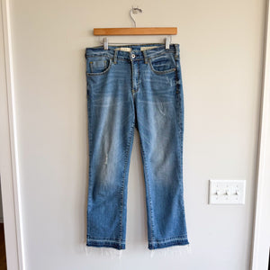 Anthropologie Pilcro Raw Hem High Rise Flared Jeans Blue 29