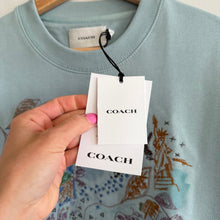 Load image into Gallery viewer, Coach Spring Doodle Dream Embroidered Crew Neck Sweatshirt Powder Blue M NWT
