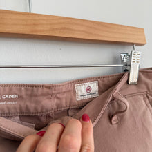 Load image into Gallery viewer, Ag Adriano Goldschmied The Caden Slim Side-Striped Trouser Pant Clay 28R

