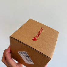 Load image into Gallery viewer, Lovebox The Ultimate Couple Gift Color &amp; Photo Messenger Box Brown NIB
