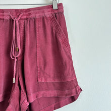 Load image into Gallery viewer, Hei Hei Anthropologie Dobby Beachcomber Shorts Red XS

